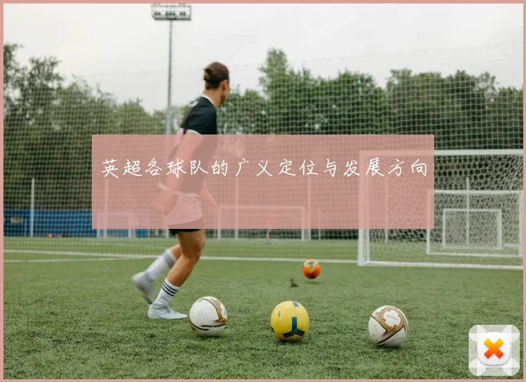 英超各球队的广义定位与发展方向