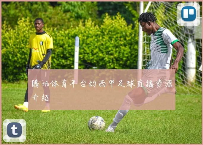 腾讯体育平台的西甲足球直播资源介绍