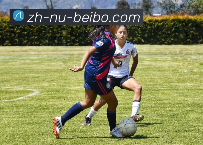 BB体育下载品牌故事