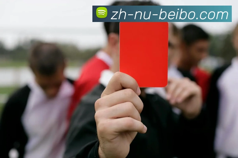 BB体育下载服务体系